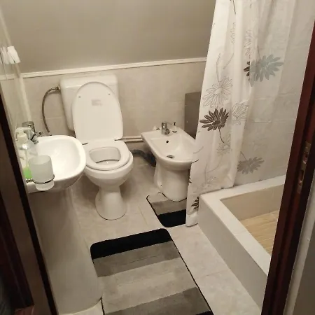 Casa Traditionala Subcetate Guest house