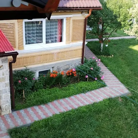 Casa Traditionala Subcetate Guest house