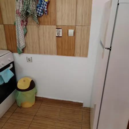 Casa Traditionala Subcetate Guest house 2*
