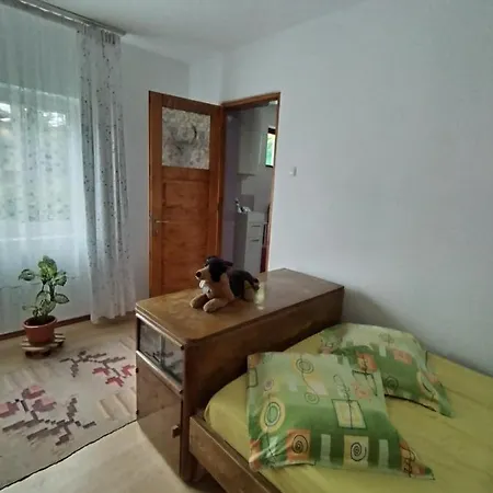 Casa Traditionala Subcetate Guest house Subcetate (Harghita)