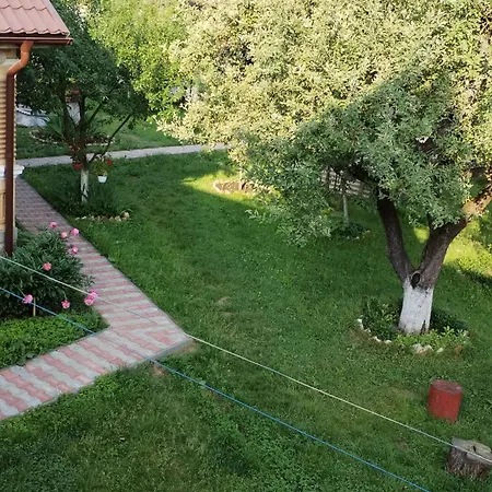 Casa Traditionala Subcetate