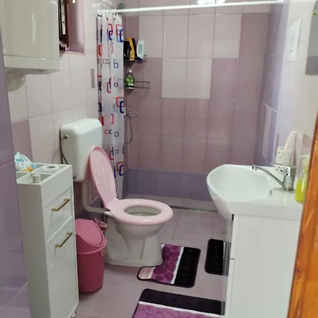 Casa Traditionala Subcetate Guest house