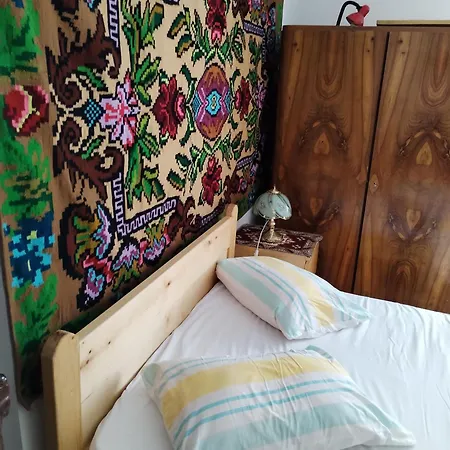 Guest house Casa Traditionala Subcetate