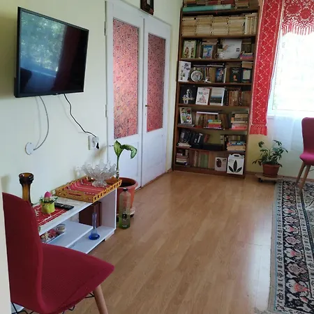 Casa Traditionala Subcetate Guest house