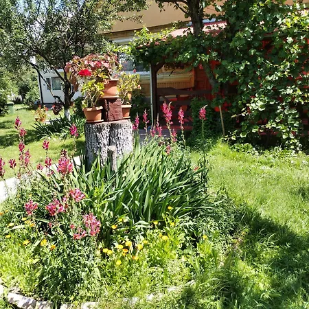 Guest house Casa Traditionala Subcetate 2*