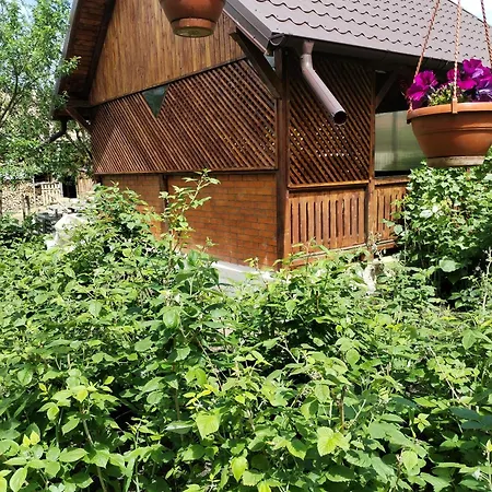 Guest house Casa Traditionala Subcetate Subcetate (Harghita)
