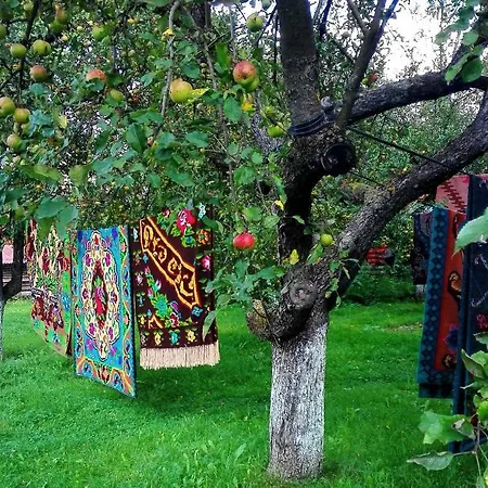 Casa Traditionala Subcetate Guest house
