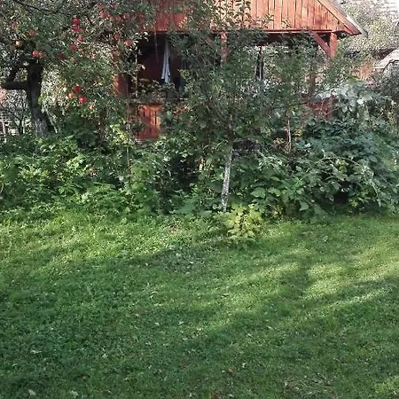Casa Traditionala Subcetate Guest house
